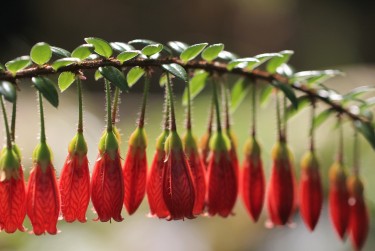 广州南沙区1私人快速借钱网，轻松解决资金难题