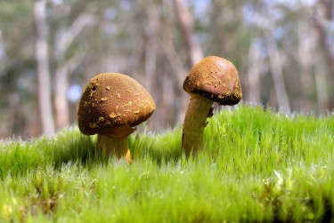 广州南沙区1私人老板放款：轻松融资的秘密通道